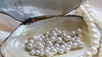 Photo of How Natural Pearls Are Formed?