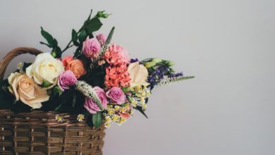Photo of Where Can I Buy Flowers in Tampines?