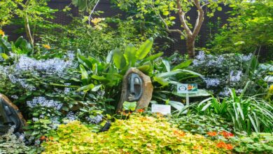 Photo of Flower Bouquets in Singapore: Caring for Roses in Our Climate